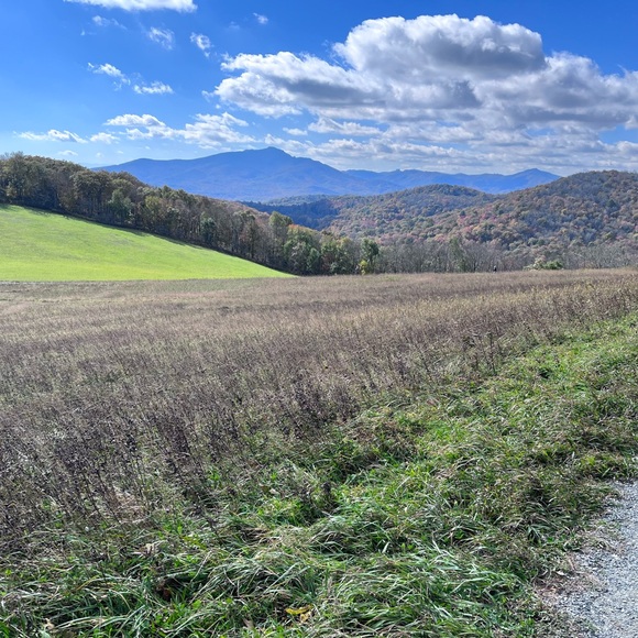 Meet your Posher, Cindy - Picture 2 of 2